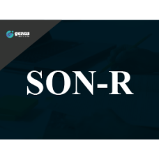 SON-R 2 1/2 - 7 [A] - Curso 100% EAD