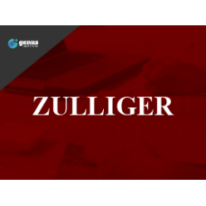 Teste de Zulliger no Sistema Compreensivo - Forma Individual (Z-SC) - Curso 100% EAD 