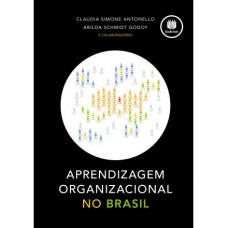 Aprendizagem Organizacional no Brasil 